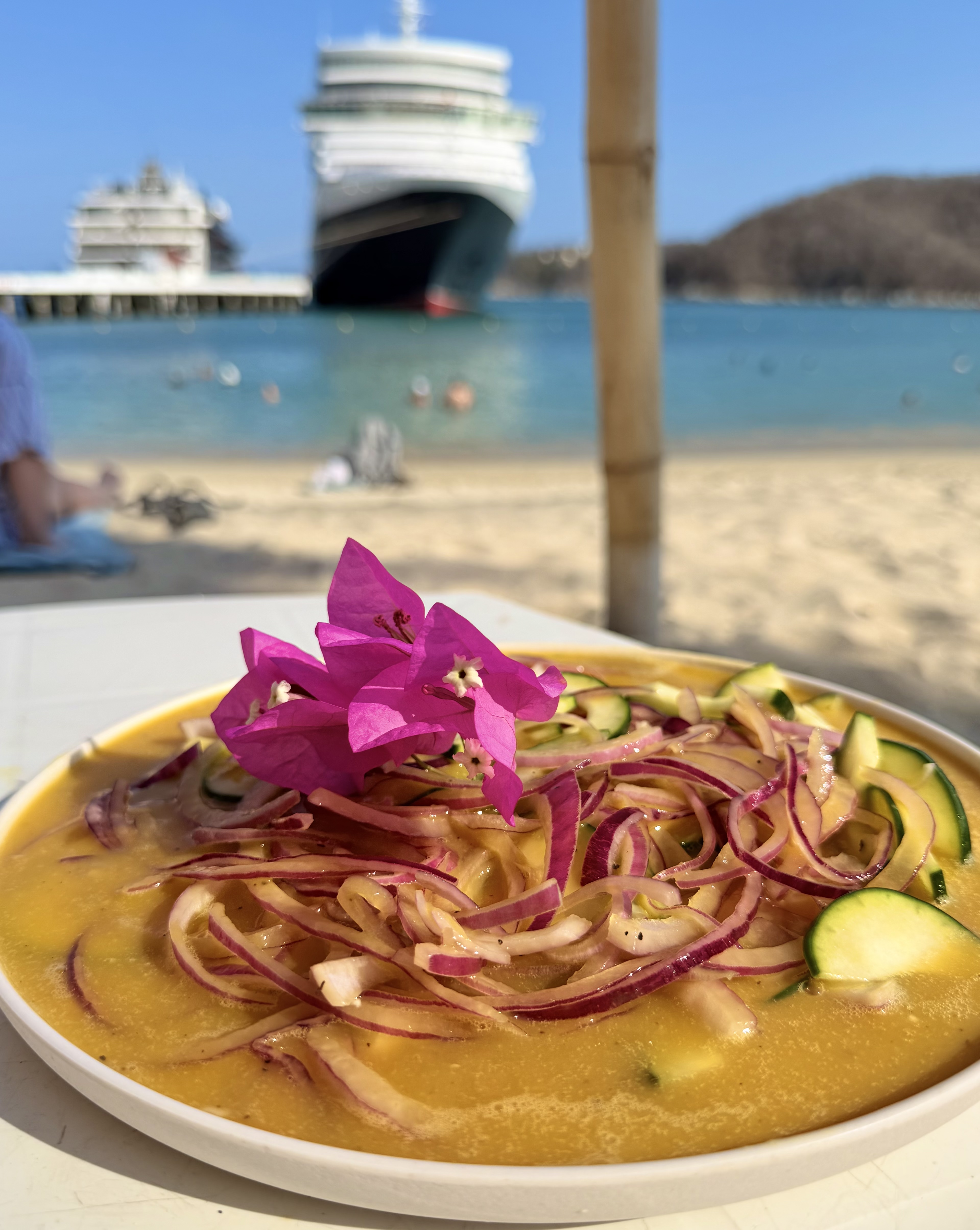 Fresh ceviche with cruise ship in Santa Cruz bay